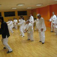 Tai-chi